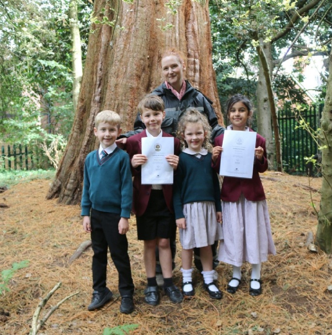 News » Crackley Achieves Bronze And Silver In Woodland Trust’s Schools Award